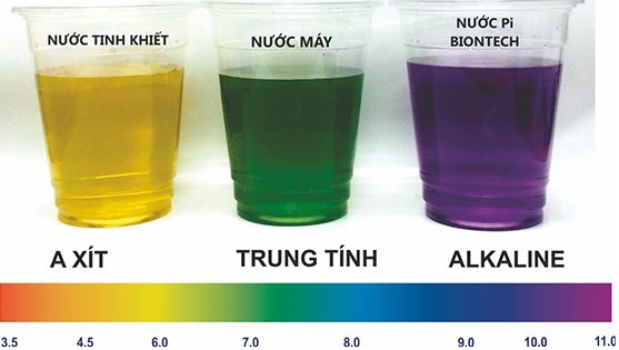 Màu sắc nước trên đây là màu của thuốc quỳ thử PH để biết mức PH trong nước